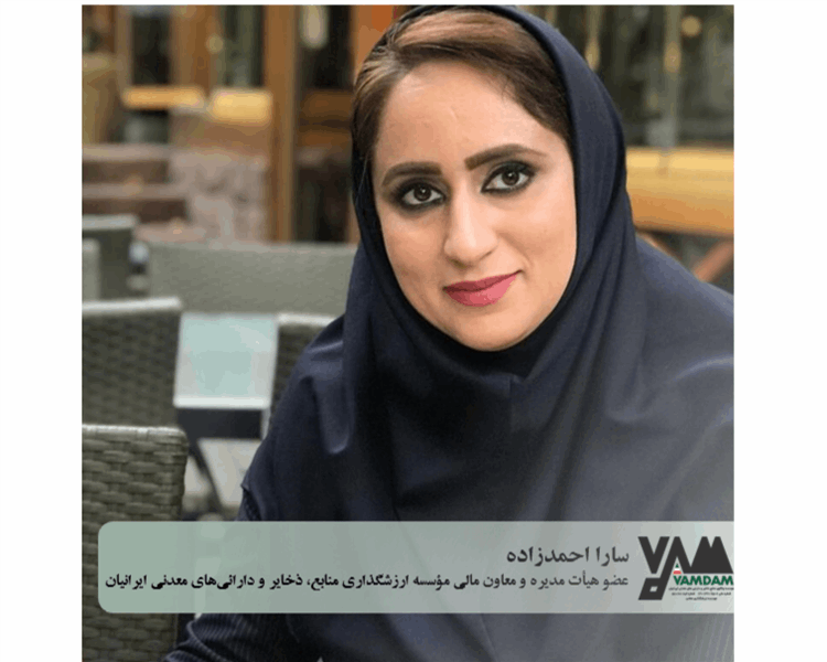 دارایی های مشهود در معادن را گم کرده‌ایم چه رسد به نامشهودش

